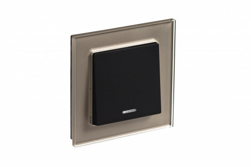 Systeme (Schneider) Electric ATLASDESIGN NATURE 1-постовая РАМКА, СТЕКЛО ШАМПАНЬ (ATN320501)