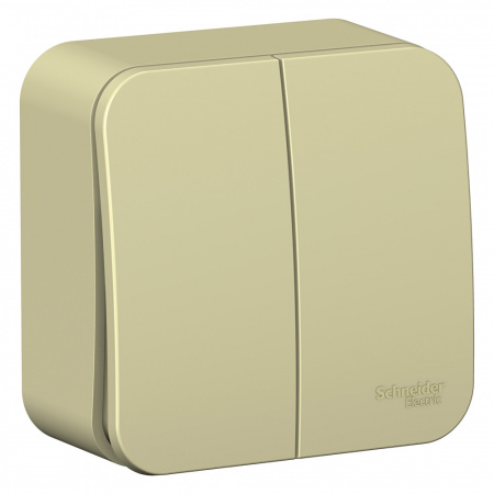 Systeme (Schneider) Electric BLANCA О/У 2-клавишный ВЫКЛЮЧАТЕЛЬ (cх.5) ИЗОЛ.ПЛ., 10А, 250B,БЕЖЕВЫЙ