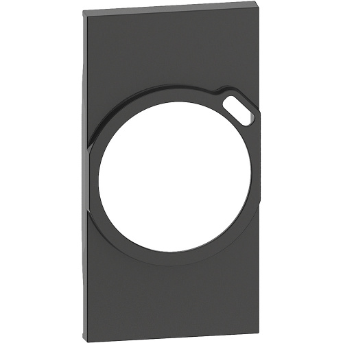 LIVING NOW.Лицевая панель для комбинированных розеток 2К+З/USB 2 модуля.Цвет Черный.