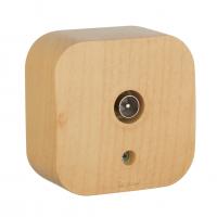 Quteo Розетка TV дерево Legrand