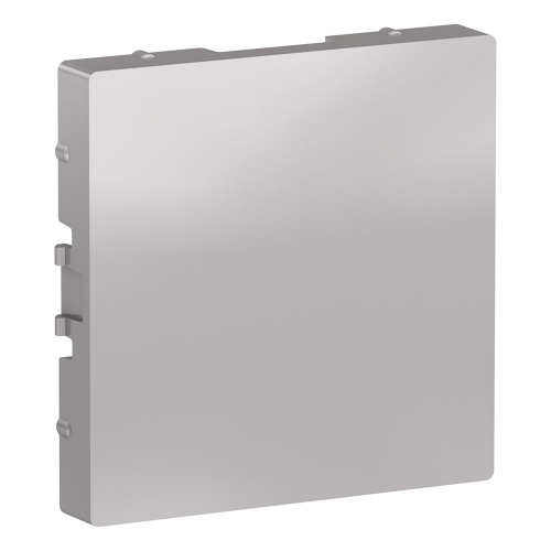 Systeme (Schneider) Electric ATLASDESIGN ЗАГЛУШКА АЛЮМИНИЙ (ATN000309)