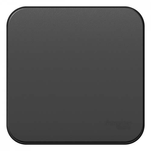 Schneider electric BLANCA 1-кл. ВЫКЛЮЧАТЕЛЬ (cх.1) с самовозв.,ИЗОЛ.ПЛ.,10А,АНТРАЦИТ